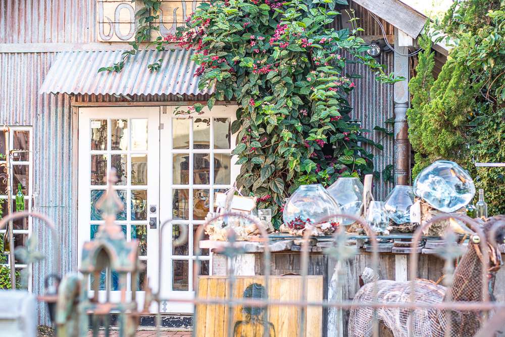 From Greenhouse to Gallery: The Story of 311 De La Mare Avenue